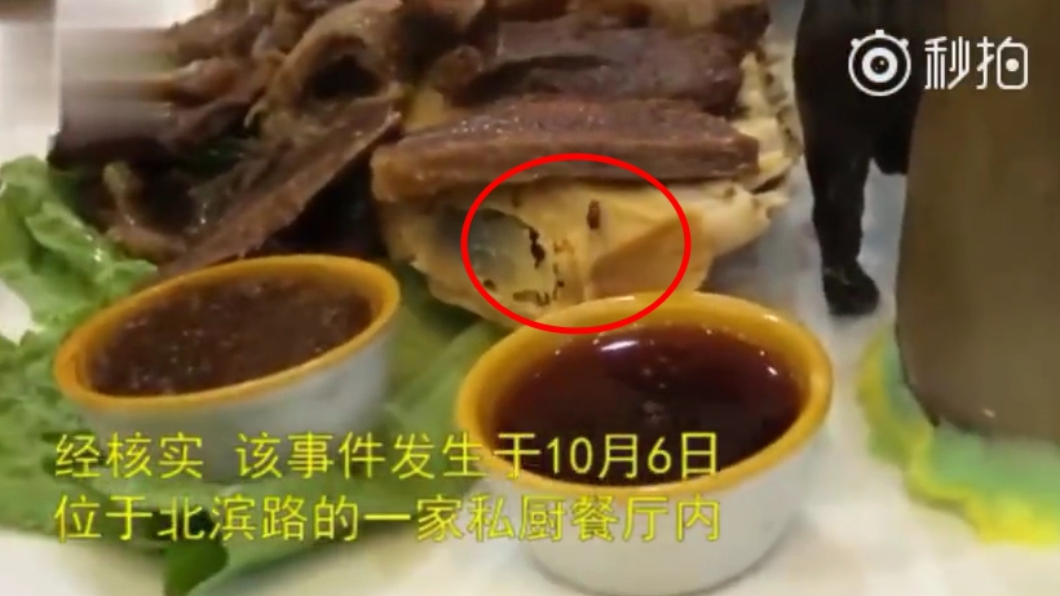 圖/翻攝自秒拍