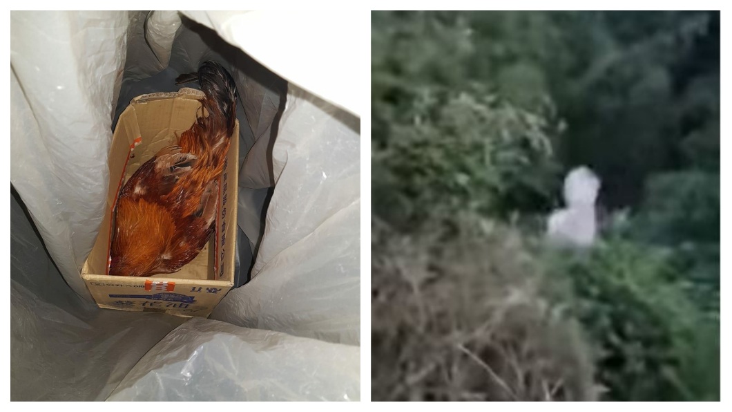 公雞早晨啼叫把女兒吵醒 父怒裝塑膠袋丟下山谷