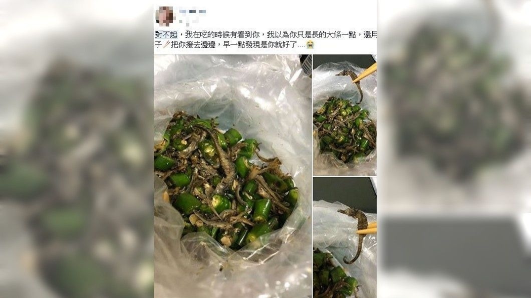 原來女網友夾到的這一隻是海馬,這在中醫上是很珍貴的藥材。(圖/翻攝自爆怨公社)