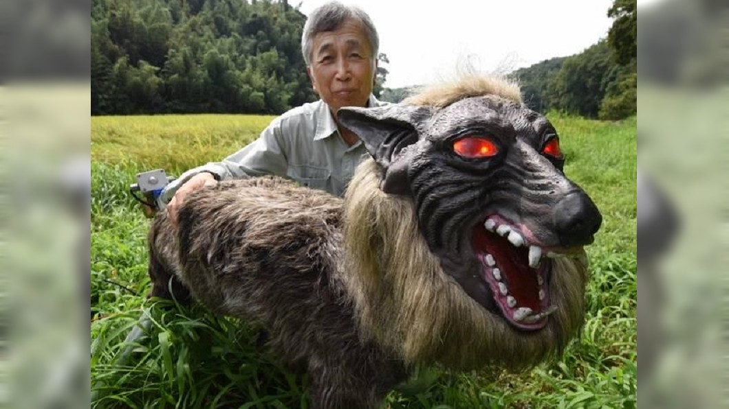 防堵野生鹿破壞農田! 日民設柵欄出動狼機器人