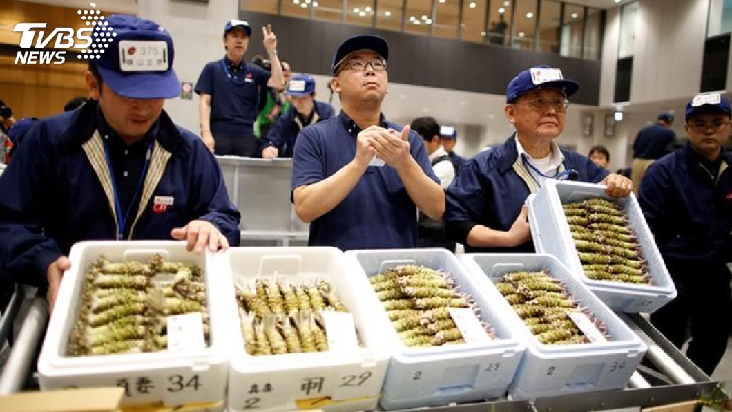 「像在迪士尼排隊」 東京豐洲市場開放看競標
