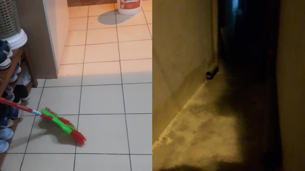 愛貓鄰居只餵食不清理 她開窗崩潰:都是屎尿味