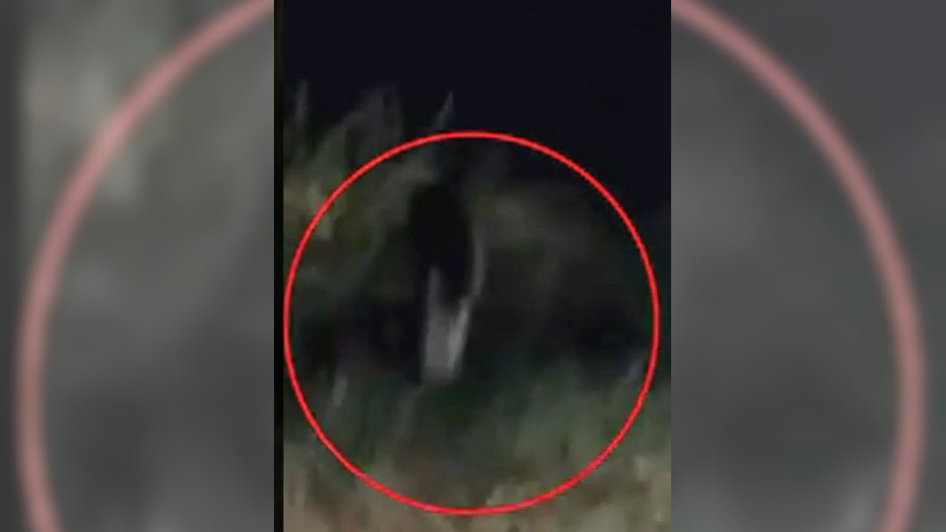 單腳貞子現身泰國?他拍到驚悚畫面 在草叢跳跳跳...
