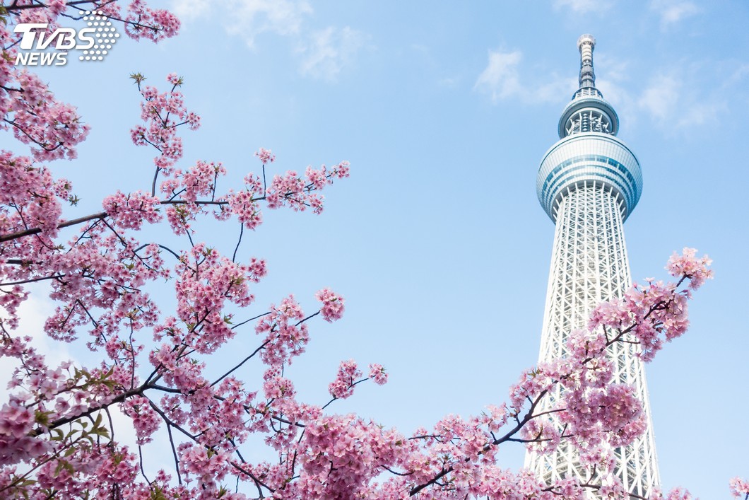 快訊／搶救東京晴空塔人氣！　四月起團體票有折扣
