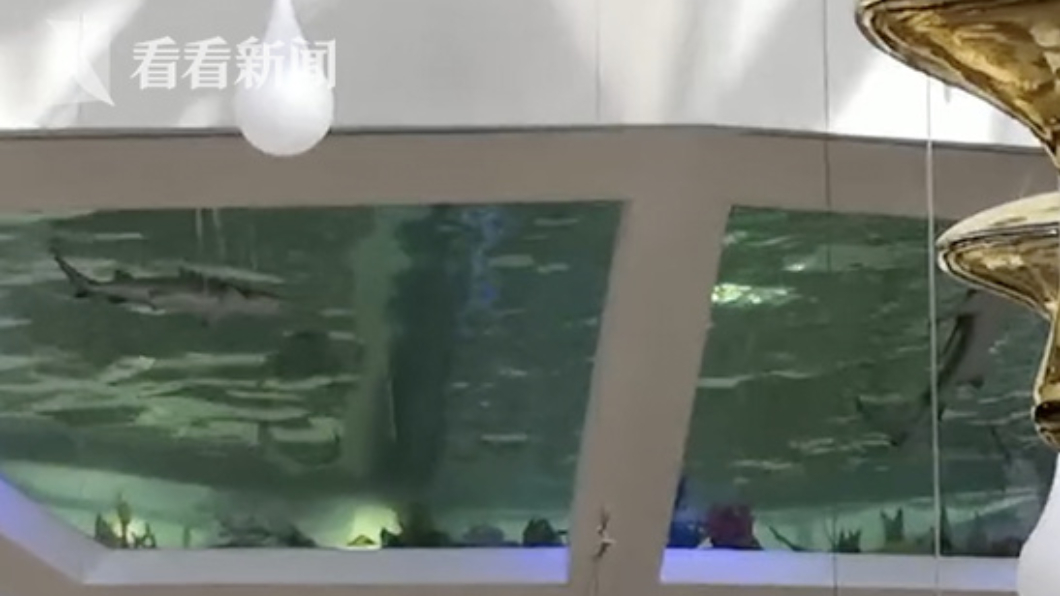女員工跌落的懸空鯊魚池。圖/翻攝自看看新聞
