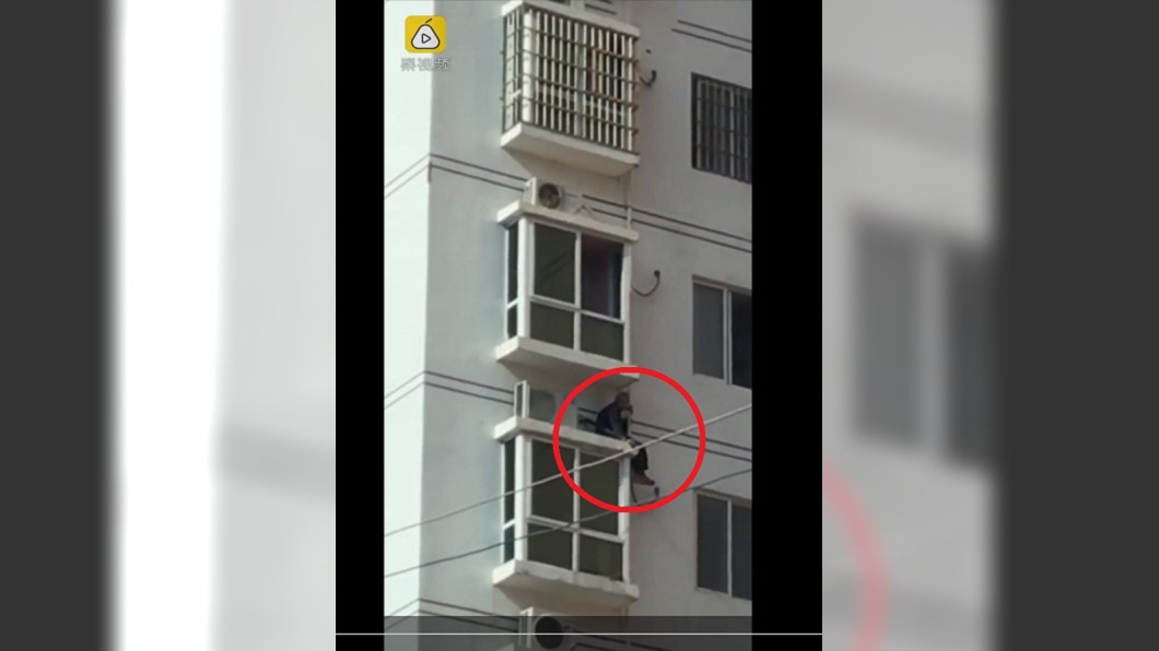圖/翻攝自梨視頻