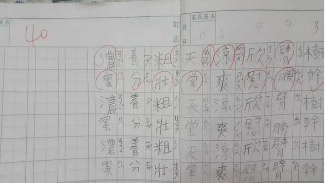 字醜被扣分!小三童重寫到落淚 母怒:字體比品行重要?