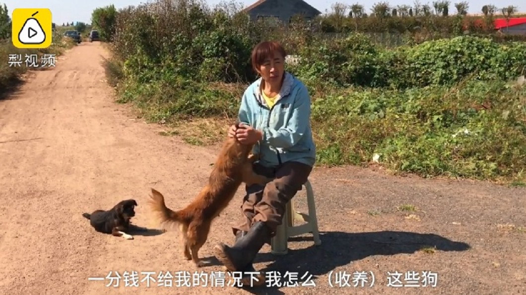 圖/翻攝自《梨視頻》