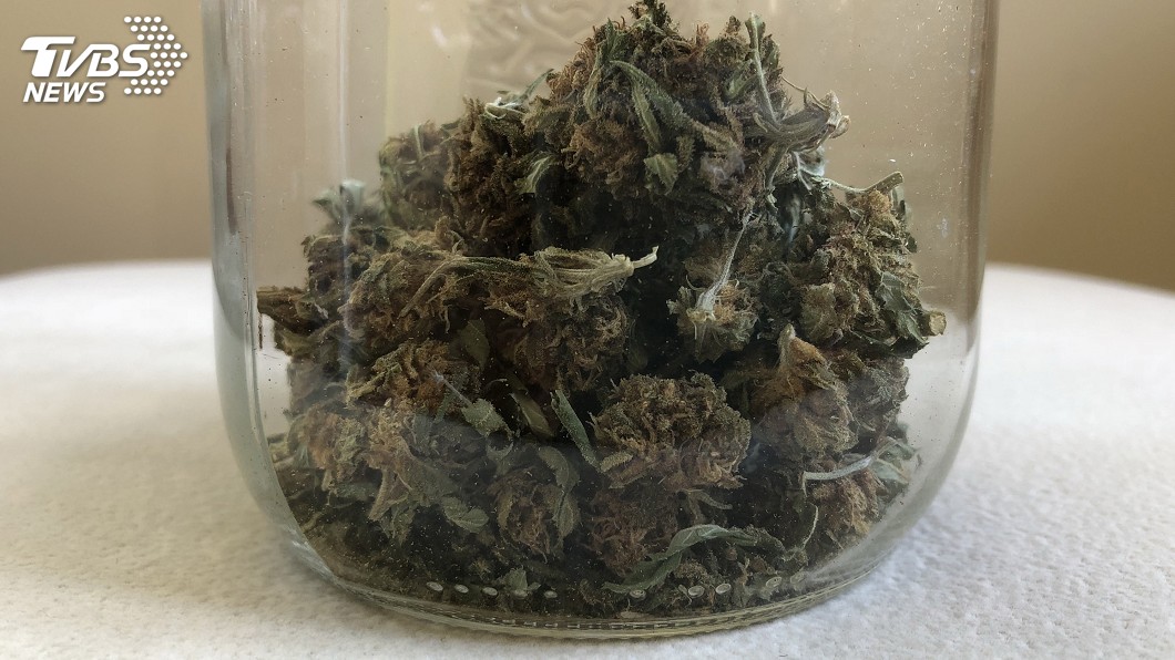 加拿大大麻全面合法 大批民眾徹夜排隊搶頭香