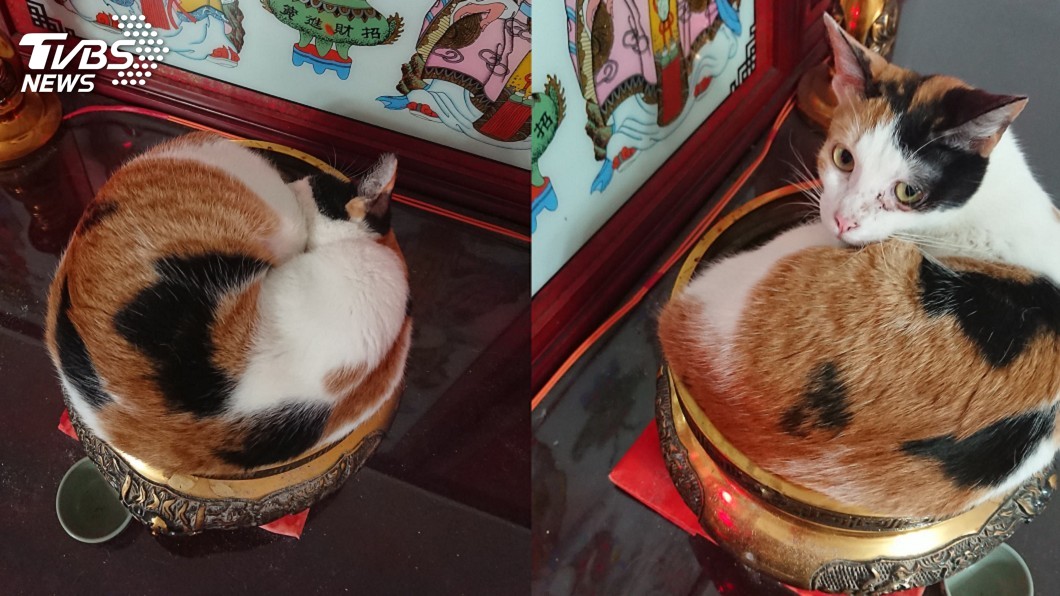 圖/梁妮妮 授權提供
