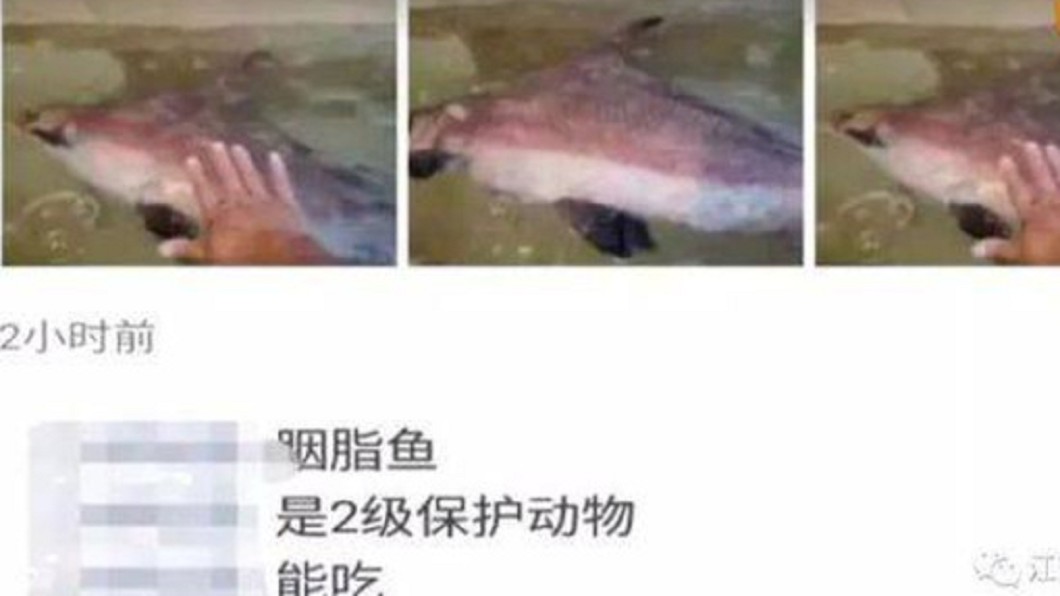 圖/翻攝微博