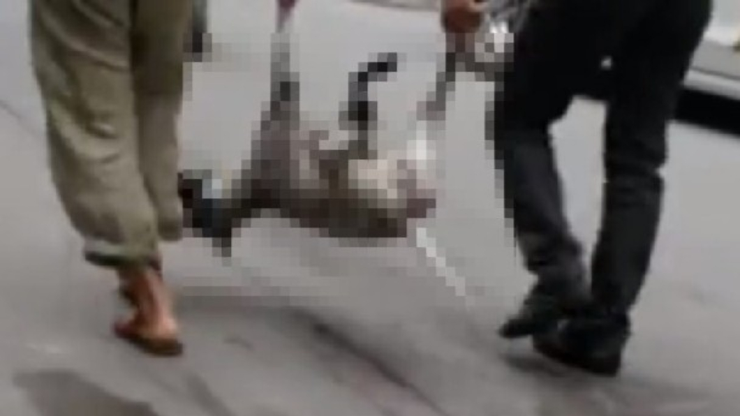 誇張!狗遭撞死隨即被撿走 居民:放著浪費不如吃了