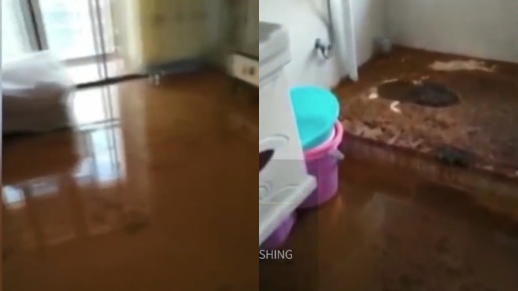 半年沒回家…裝潢新屋變糞池 屋主崩潰:還要穿雨鞋!