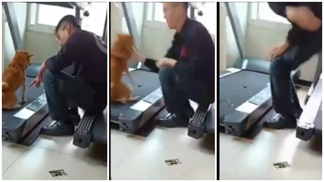 扯!不滿柴犬尿在跑步機 消防員一巴掌打飛撞壁