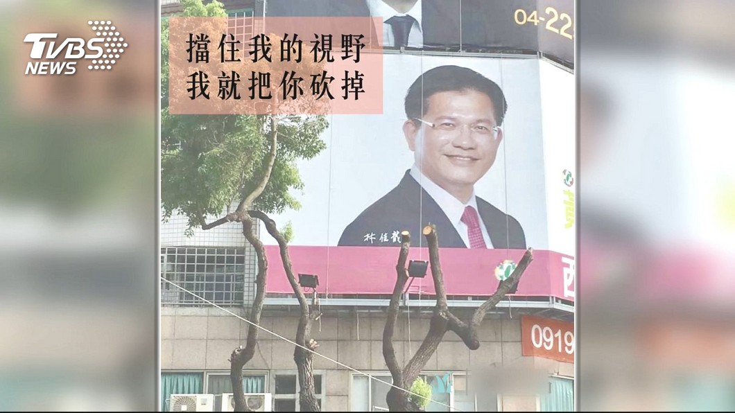 到底誰砍斷的? 路樹擋選舉看板風波 黃淑芬按鈴控告