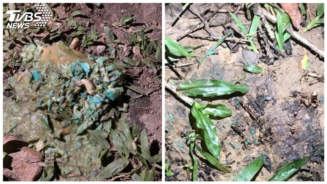 有民眾發現公園草叢內放置雞肉,上面添加藍綠色的不明物質。(圖/網友Carol Hsu授權提供)