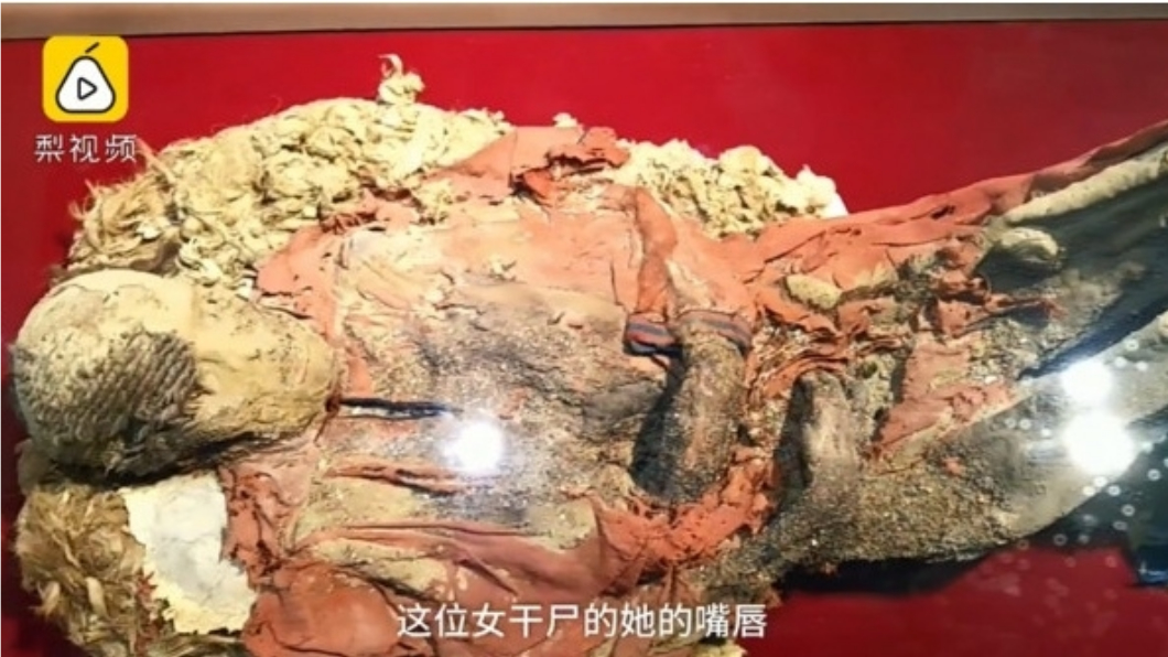 圖/翻攝自梨視頻