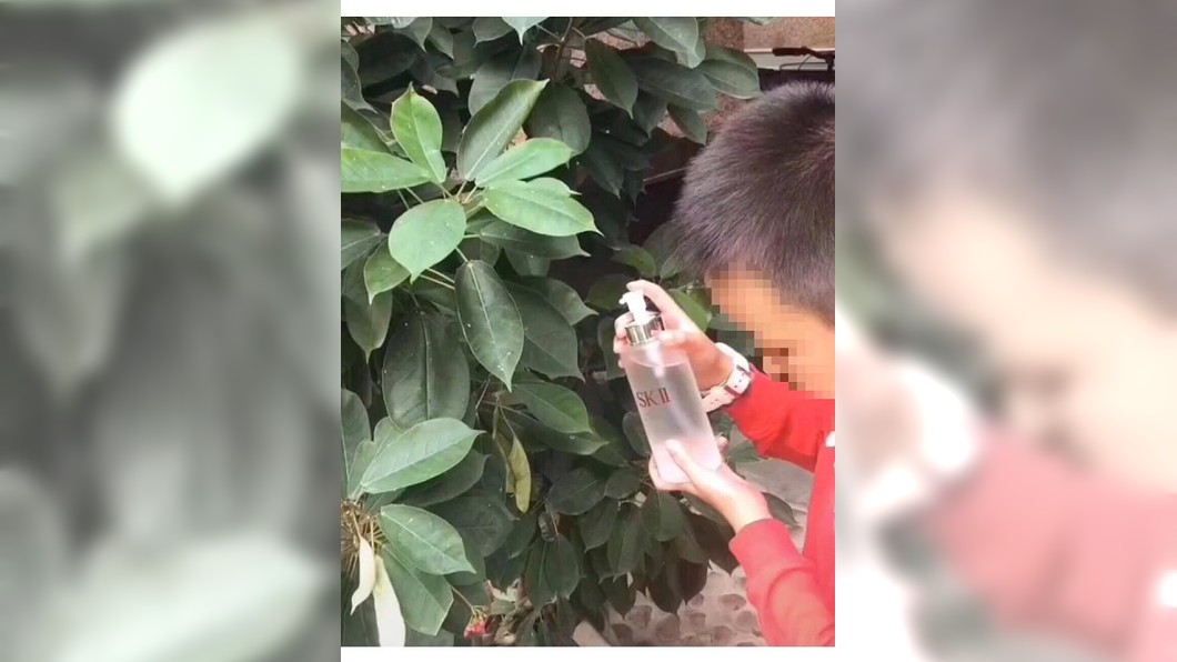 噴的都是錢！弟拿SK-II澆花　女網友淌血：那罐8千