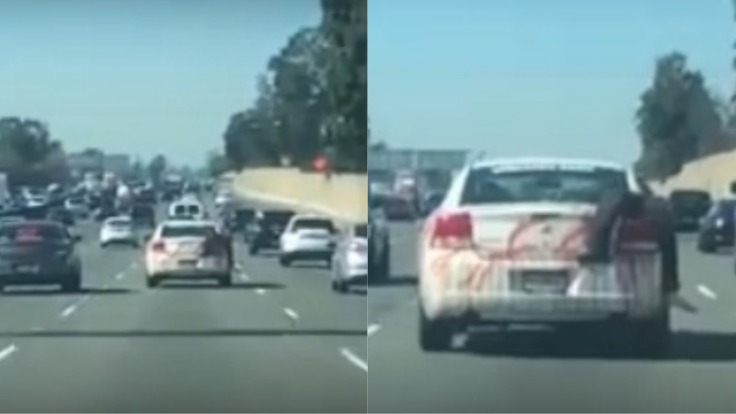 「掛屍血車」行駛於車陣中　駕駛嚇歪：這萬聖節吧！