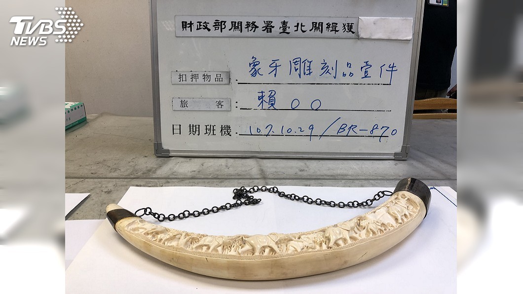 南非攜象牙雕刻品返台 女違反野保法遭究辦