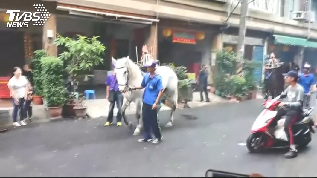 迎王繞境鞭炮聲嚇到　白馬摔得四腳朝天 