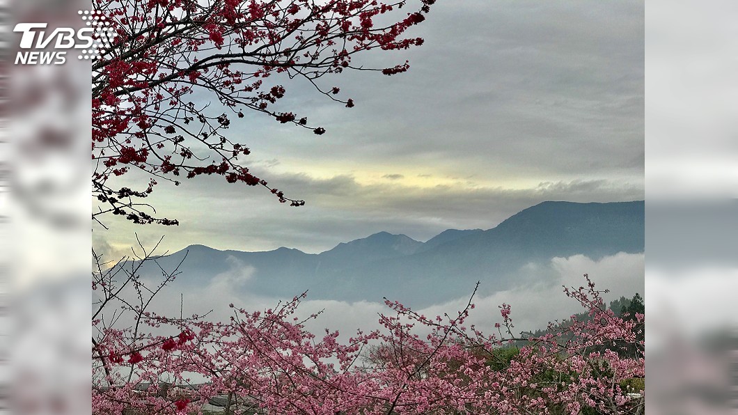 台中花博看完不過癮 彰投還有花卉盛宴