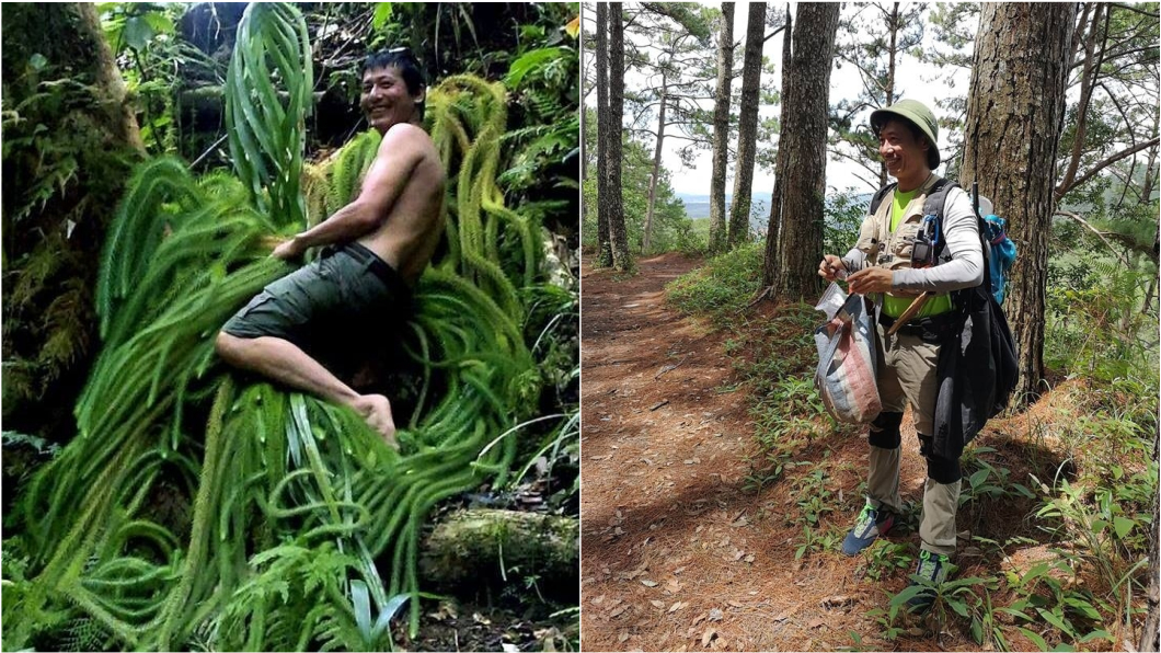 「植物獵人」全台最危險工作 他僅國中畢業卻被博士封神