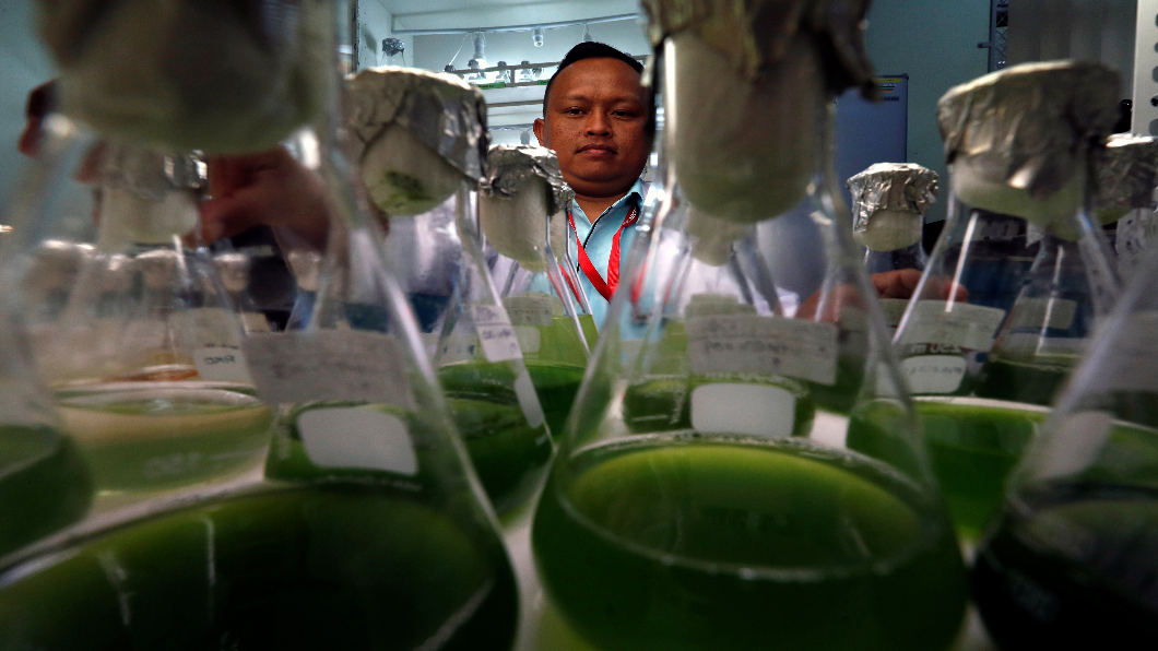 糧食增量解方 美國新墨西哥州:沙漠綠金