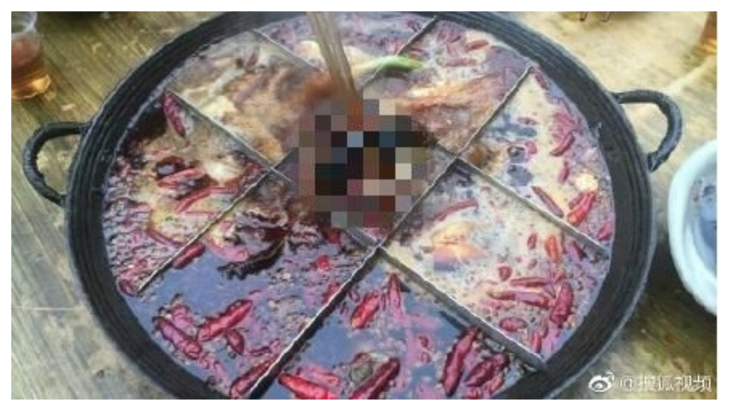 吃鍋到一半撈出「死老鼠」 店家冷回:牠也是糧食餵大的