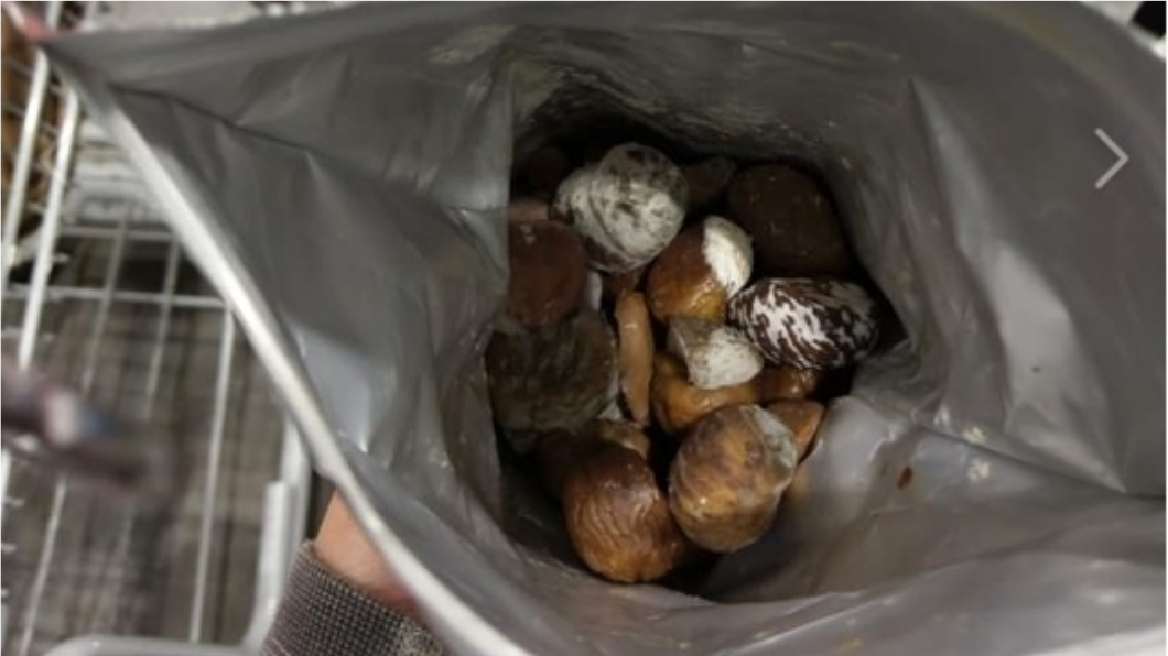 好市多栗子放3天驚見「發霉」 內行人推:這樣才好!