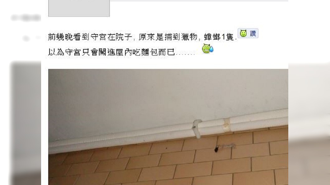 圖／翻攝自mobile01論壇