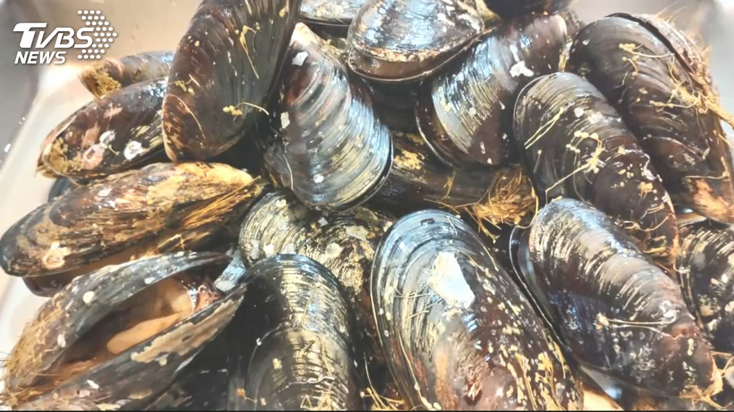 馬祖「深海威而鋼」開賣了! 淡菜進入肥美季