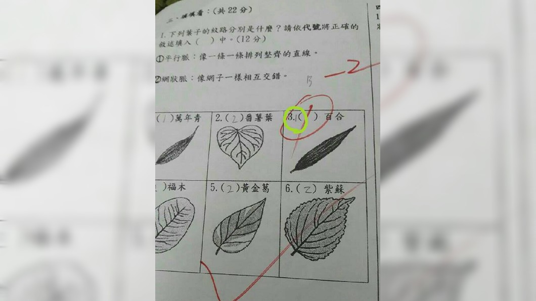 小三女兒答案全對卻被扣2分　母竟說：扣得好啊