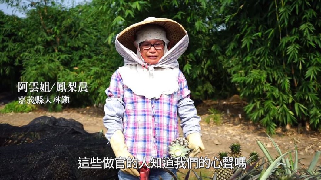 「做官的知道嗎？」鳳梨農阿雲姐訴心酸　張麗善影片催淚