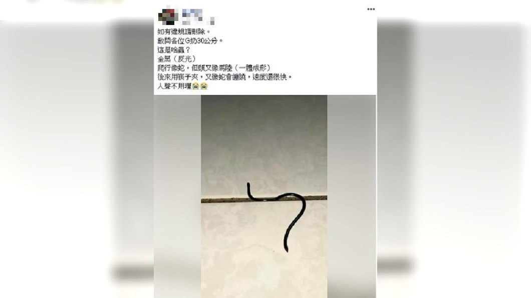 圖／爆廢公社