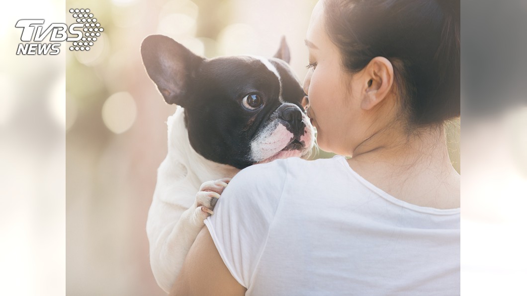 當心!愛犬走失求協尋 飼主竟遭陌生噁男騷擾