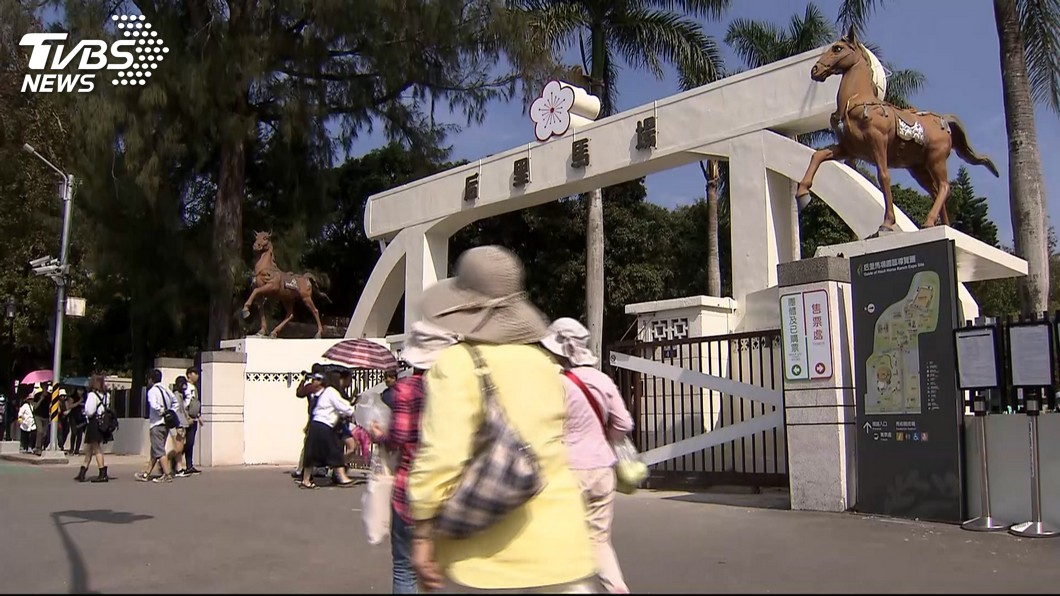 台中后里馬場出事!15歲馬戲團成員準備鋼索 4米高重摔