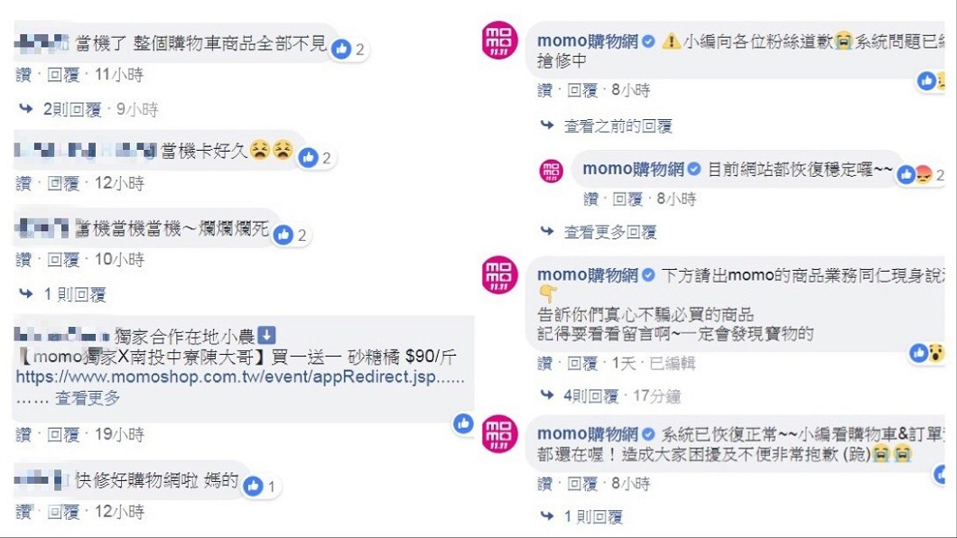 圖/翻攝自momo購物網臉書