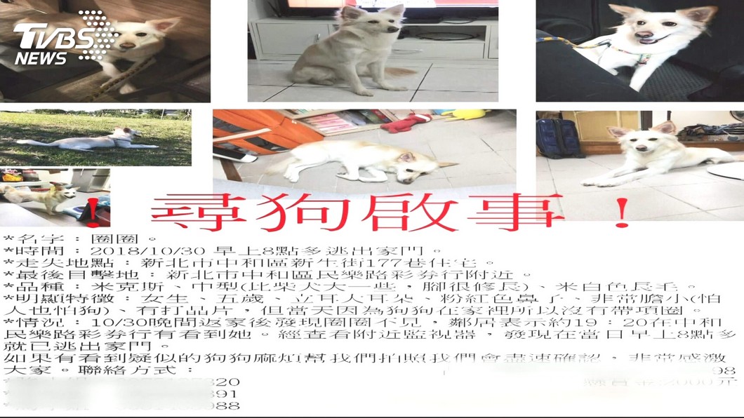 圖/TVBS