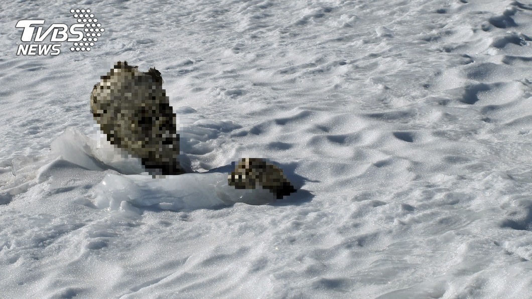 登山客遺體遇雪崩成乾屍 「冰封59年」終於回家