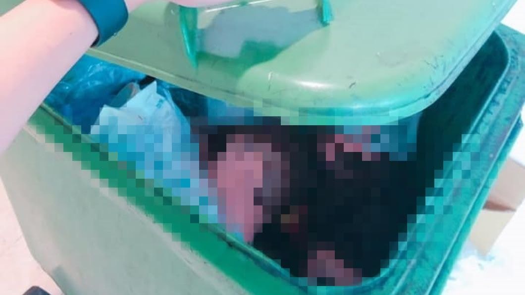 倒垃圾驚見「3人頭」!詭異眼神狂盯 櫃姐嚇到腿軟