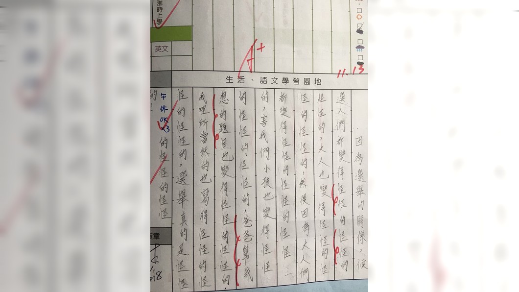 小6表妹「怪怪的」日記獲A+評分 網:老師默默表態