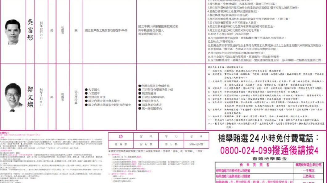 狂政見17連發!他要辦「檳榔西施選美」 網全看傻
