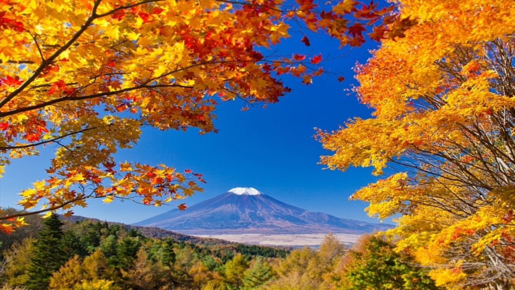 日楓紅秘境:廣島尾道市小島 近年聲名噪