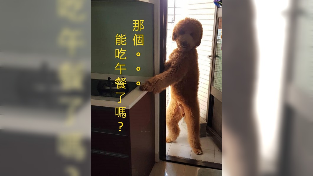 圖/翻攝臉書爆怨公社
