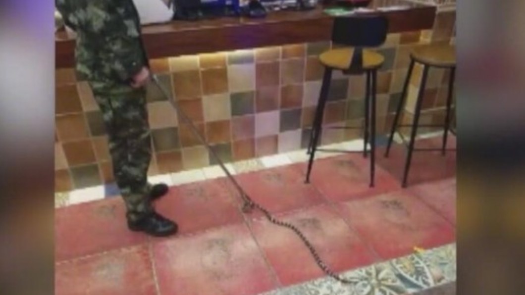離奇!男帶毒蛇威脅「發生關係」 得逞後反被咬死