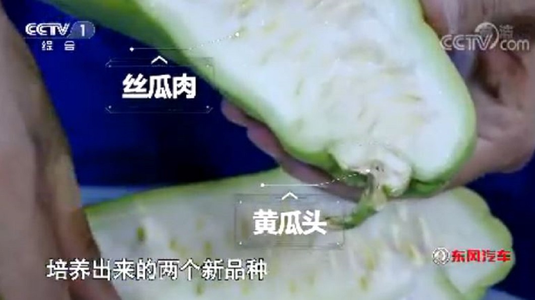 圖／翻攝自CCTV中國中央電視台YouTube