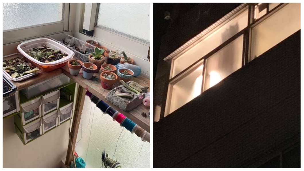 這名女子還用探照燈去養仙人掌。(圖／翻攝自花蓮同鄉會臉書)