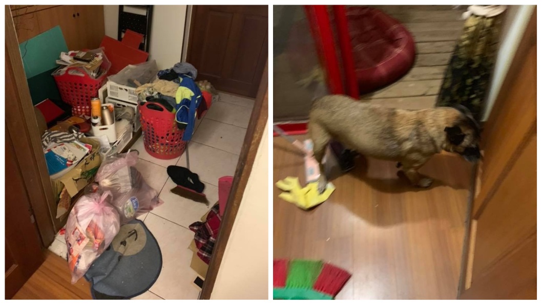 這對母子把家裡弄得一團亂，甚至還養狗。(圖／翻攝自花蓮同鄉會臉書)