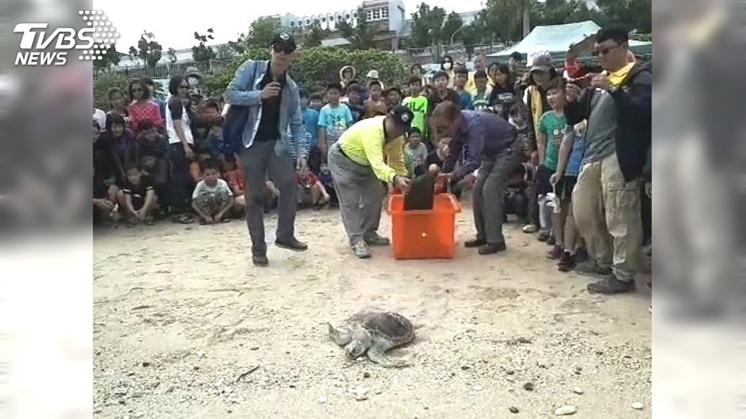 小海龜魚線繞頸7個月治療 百人護送返海洋